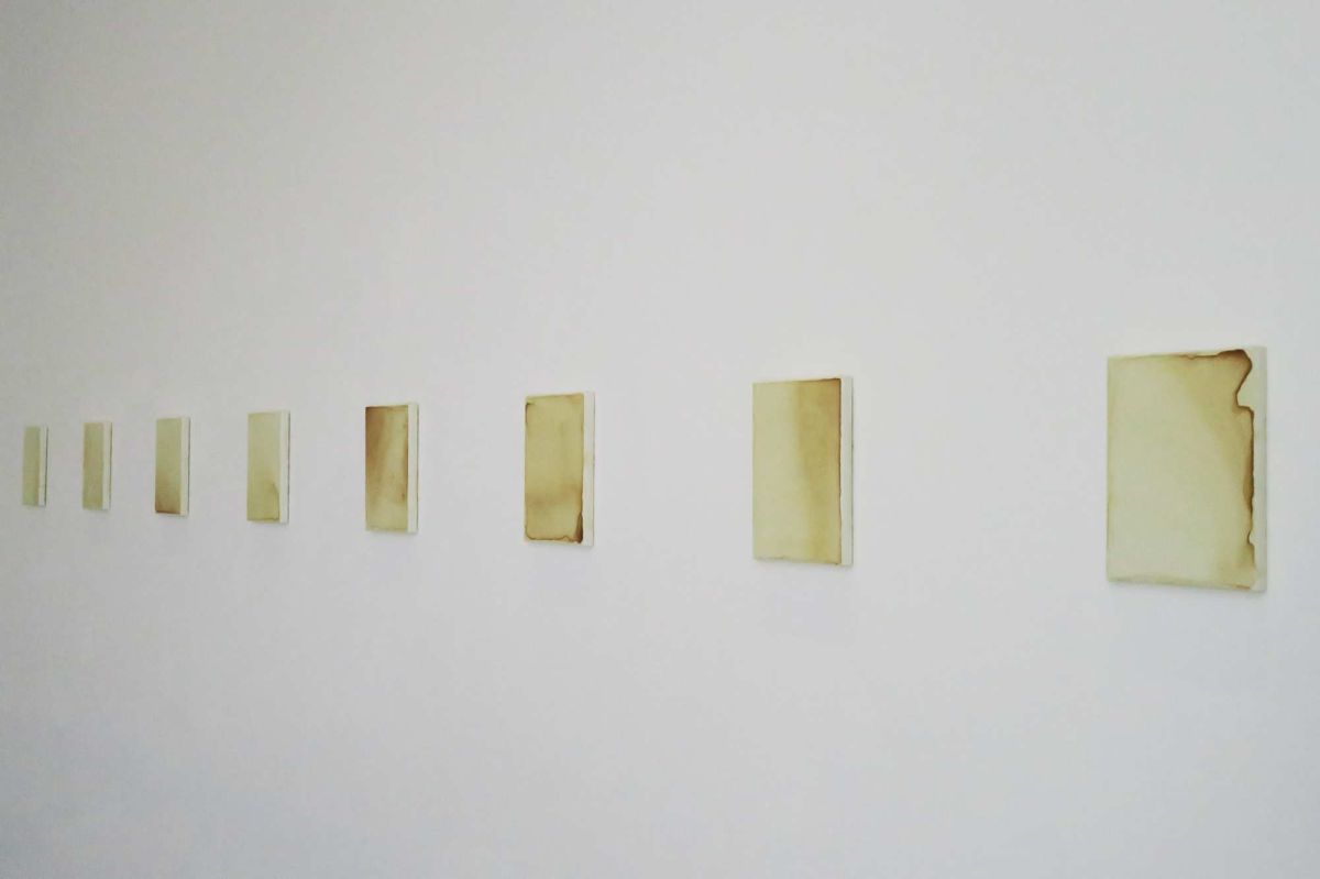 根天空 — Marie Ouazzani & Nicolas Carrier駐村成果展 圖片 4