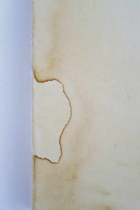 根天空 — Marie Ouazzani & Nicolas Carrier駐村成果展 圖片 9