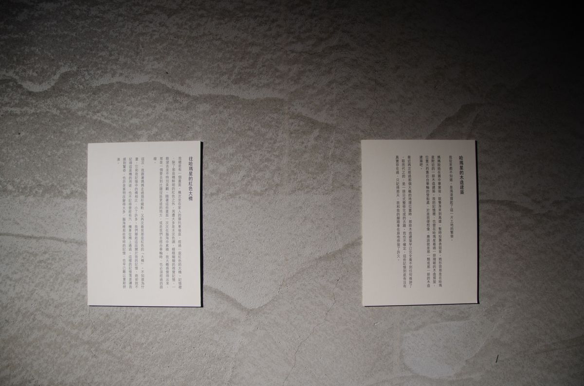 「遐久的代誌，我袂記矣」—蕭禹琦駐村成果展 圖片 13