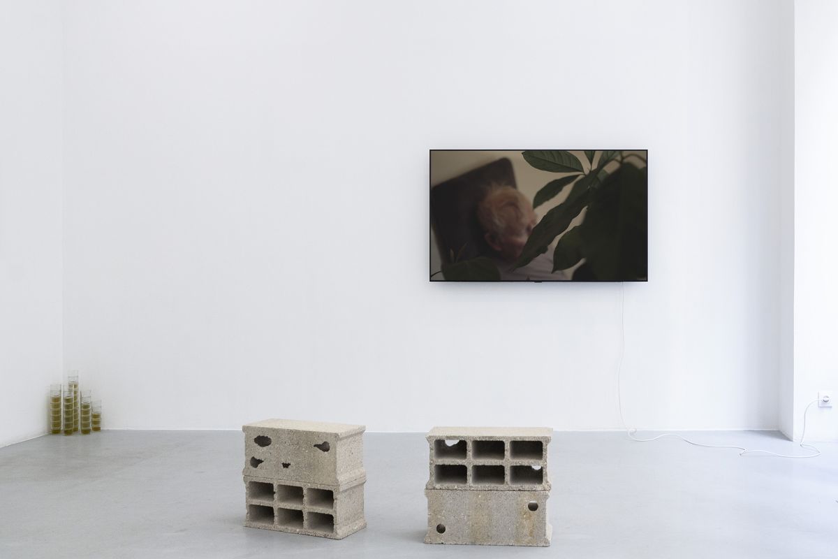 Marie Ouazzani & Nicolas Carrier 圖片 1