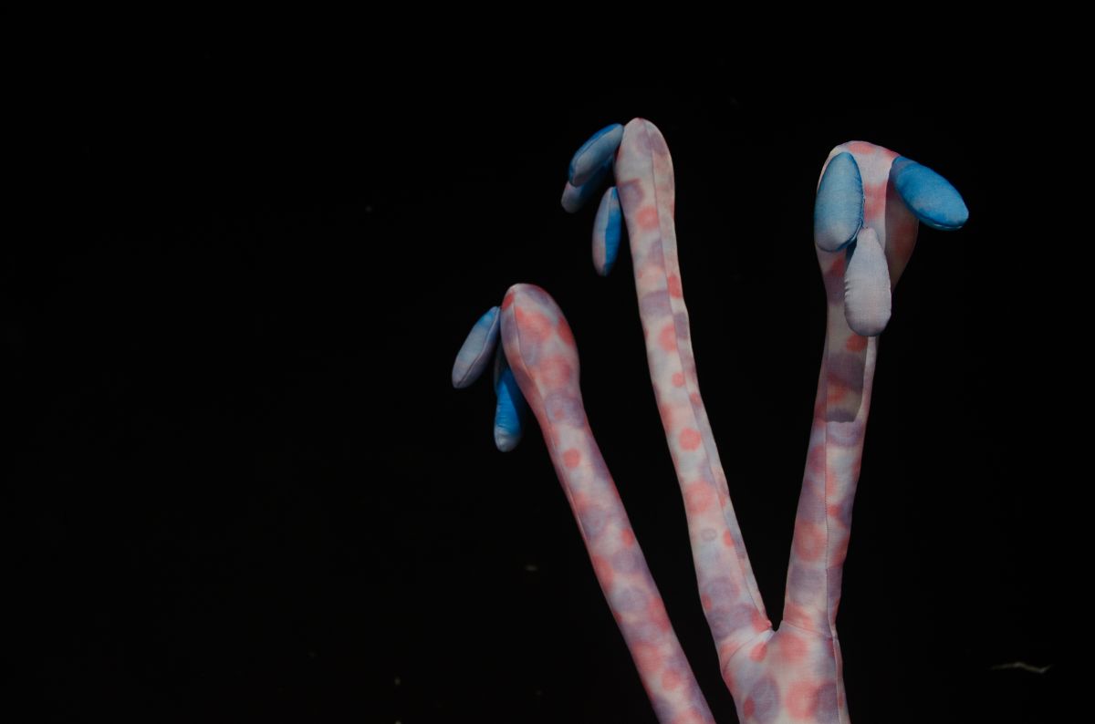 「我揮動手腳，維持漂浮」— Erika Emerén & Hala Tawil駐村成果展 圖片 6