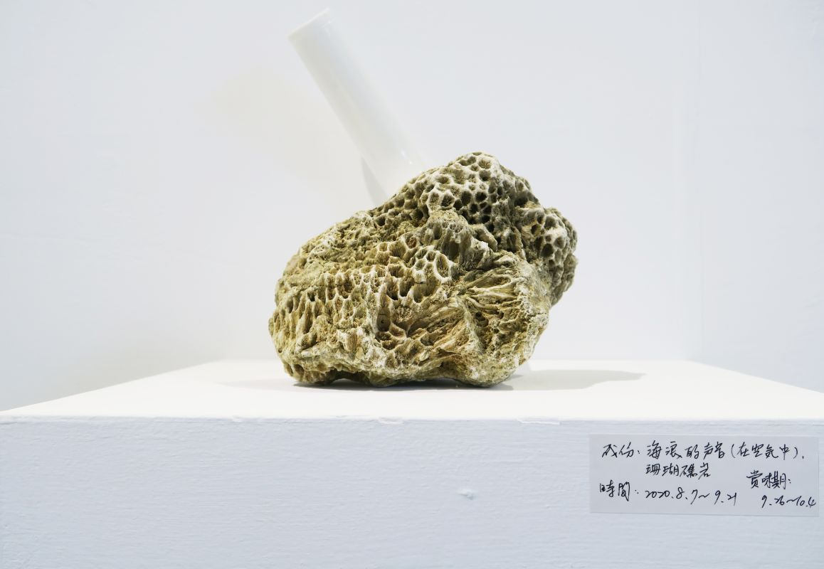 海味醃漬 — 蔡坤霖駐村成果展 圖片 4