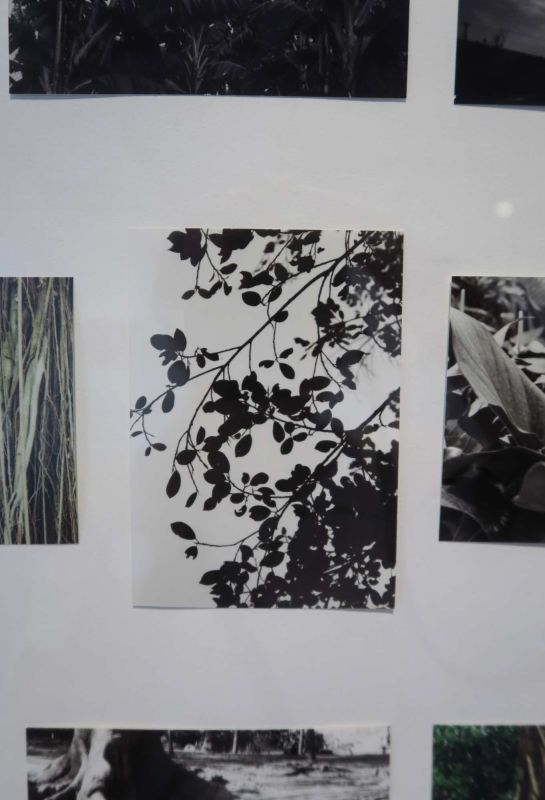 記憶與回憶之間 — Nao Uda宇田奈緒駐村成果展 圖片 9