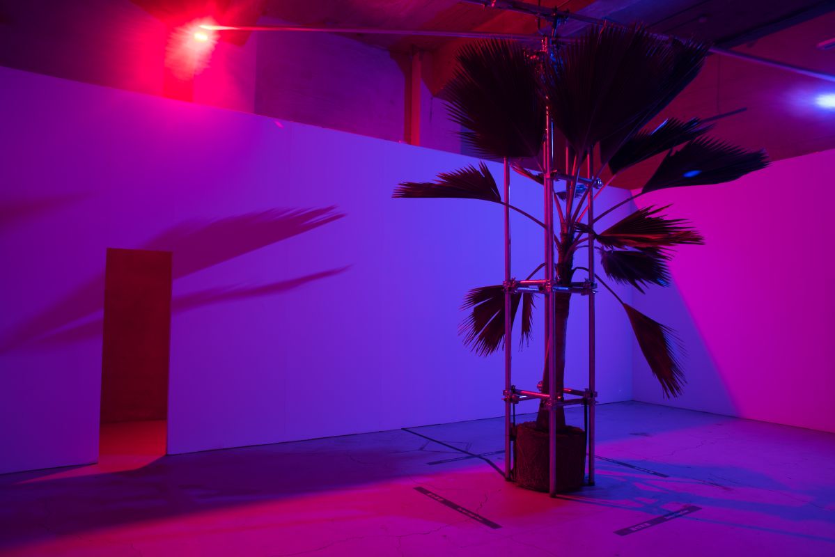 你所需的，沒別的了。 — Liam Morgan駐村成果展 圖片 2