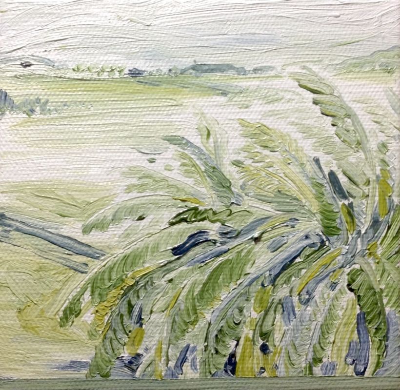 劉致宏 圖片 2