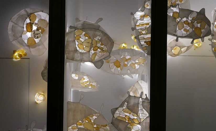 櫥窗裝置】Thu Kim Vu 「C8-20 櫥窗展覽」