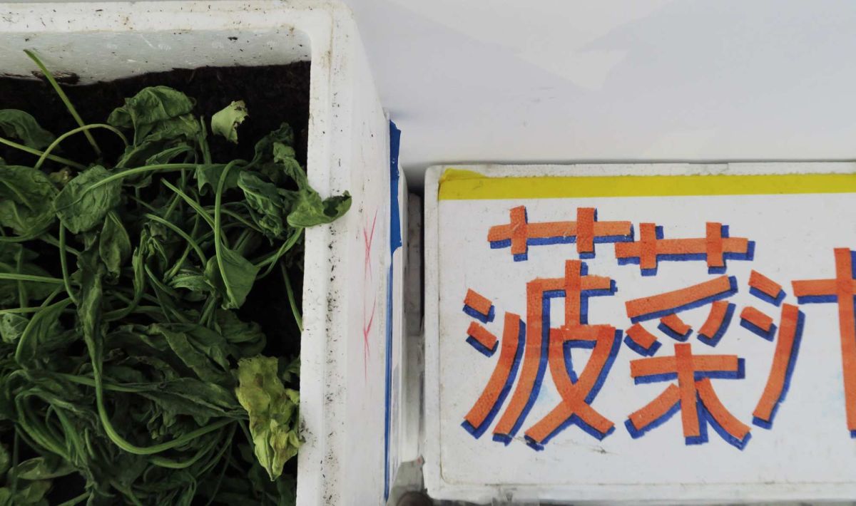 泊洋 — 尹子潔駐村成果展 圖片 8