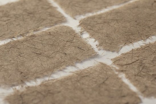 【駐村藝術家】植物的顏色、紙的纖維：駁二駐村藝術家Barbara Mydlak製紙工作坊(已額滿)