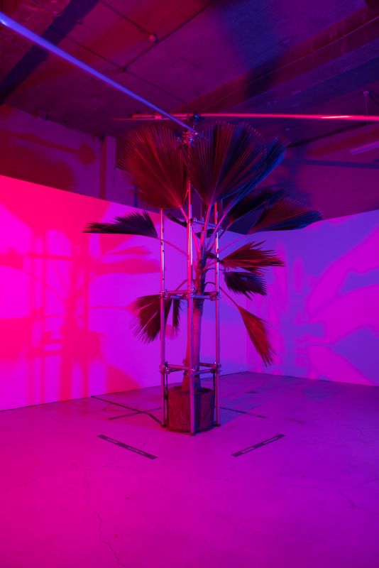 你所需的，沒別的了。 — Liam Morgan駐村成果展 圖片 4