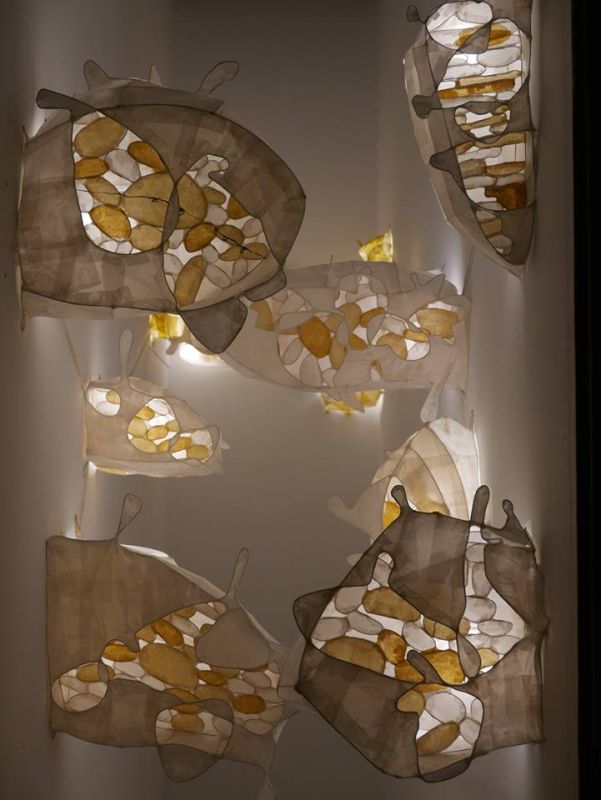櫥窗裝置】Thu Kim Vu 「C8-20 櫥窗展覽」 圖片 2