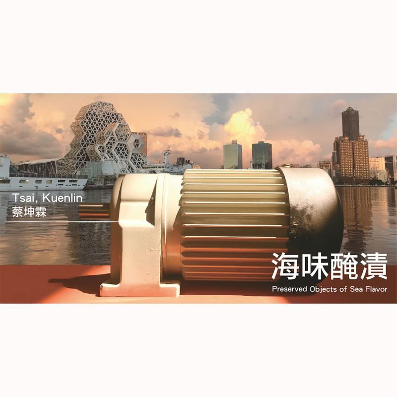 海味醃漬 — 蔡坤霖駐村成果展