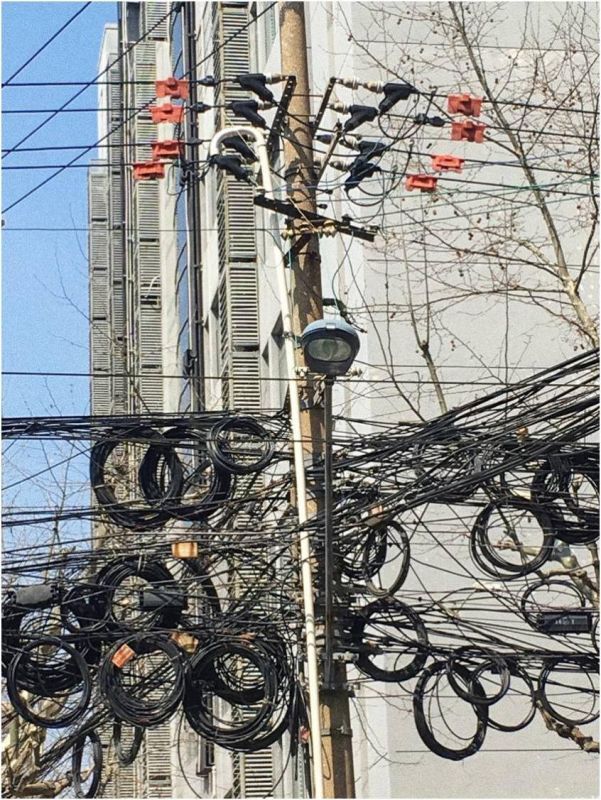 阮璽 圖片 2