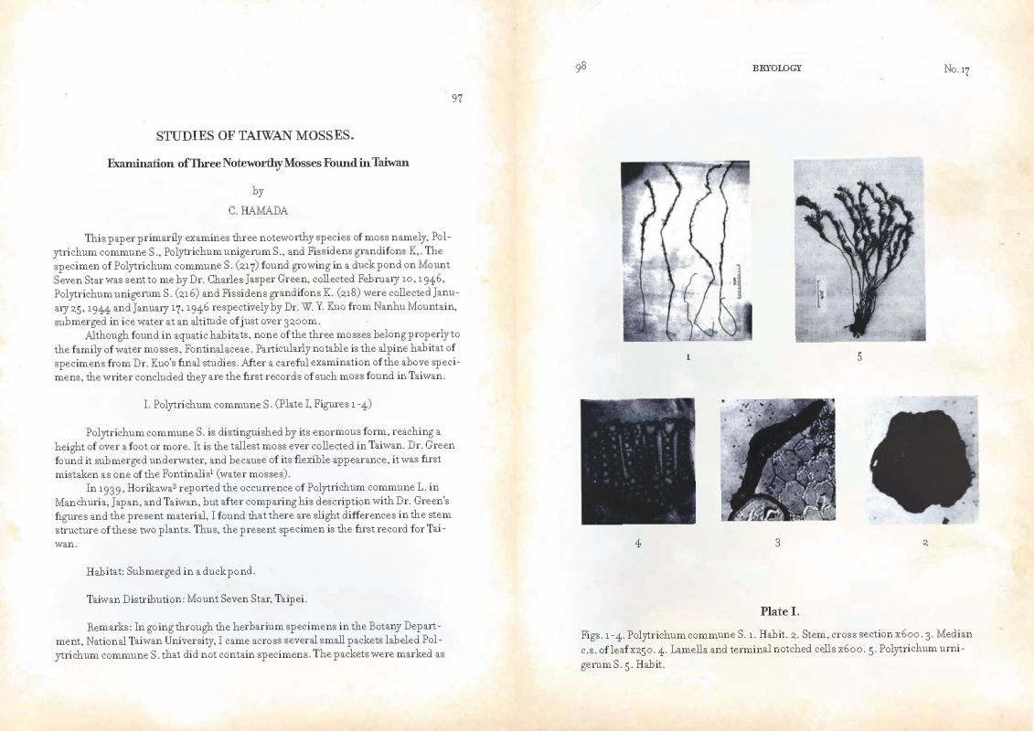 Lillygol Sedaghat & Cory Howell Hamada (Suan Tian Stories) 圖片 3