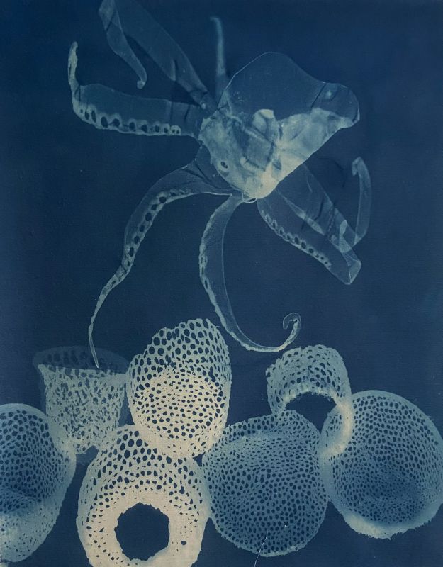 Heather Beardsley 圖片 3