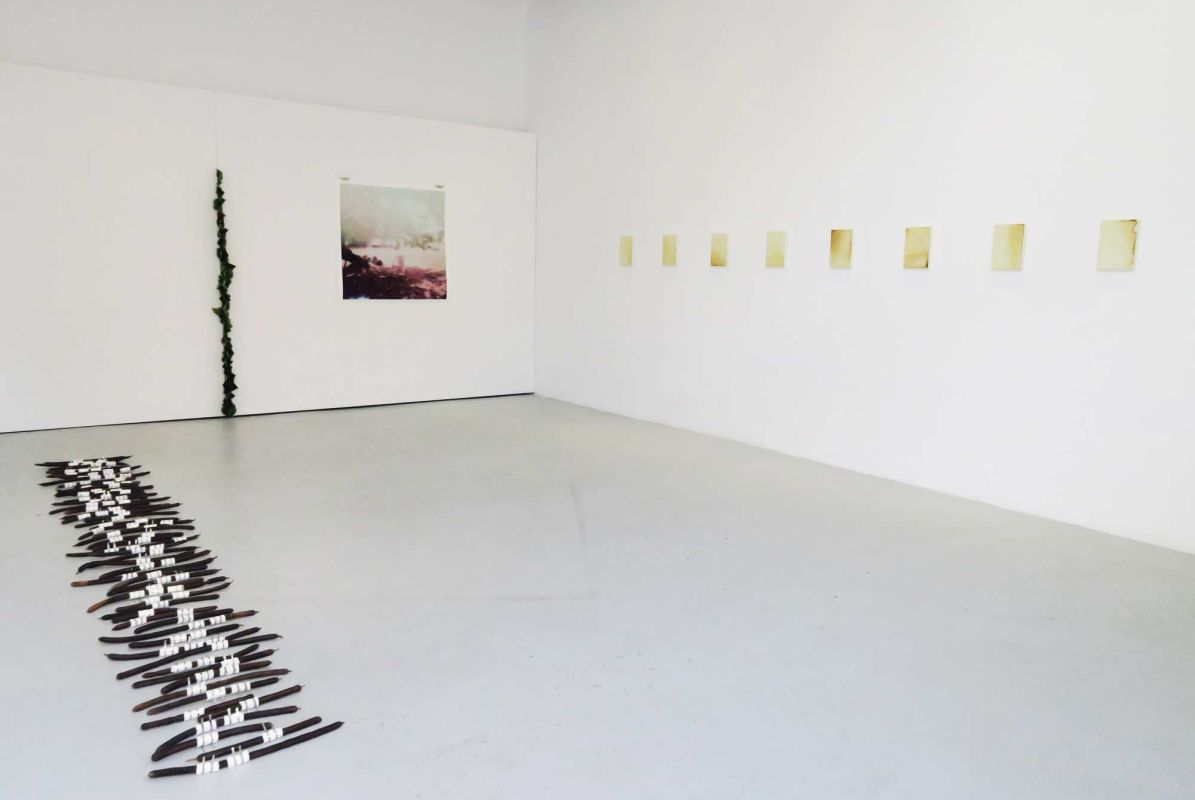 根天空 — Marie Ouazzani & Nicolas Carrier駐村成果展 圖片 2