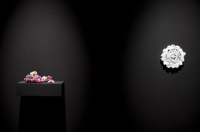 Shellaine Godbold 圖片 1