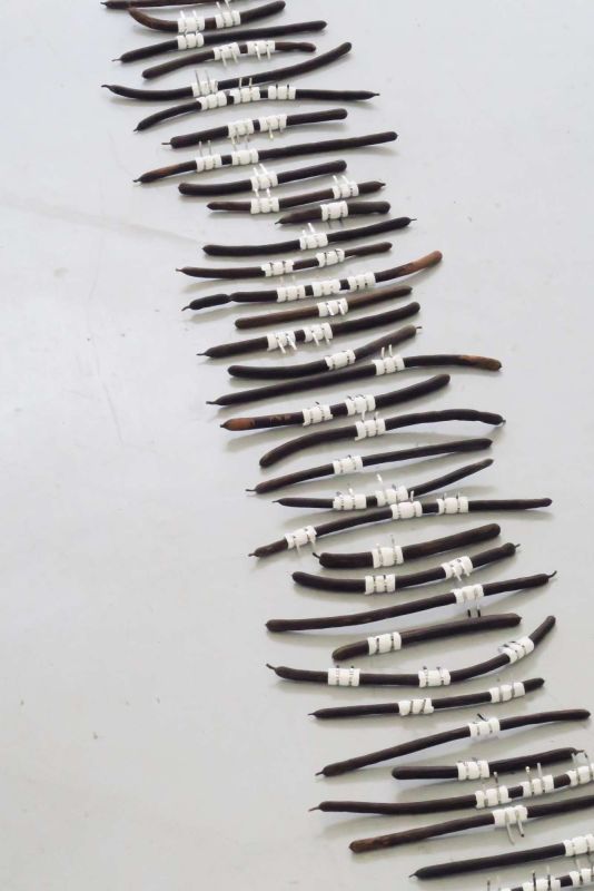 根天空 — Marie Ouazzani & Nicolas Carrier駐村成果展 圖片 7