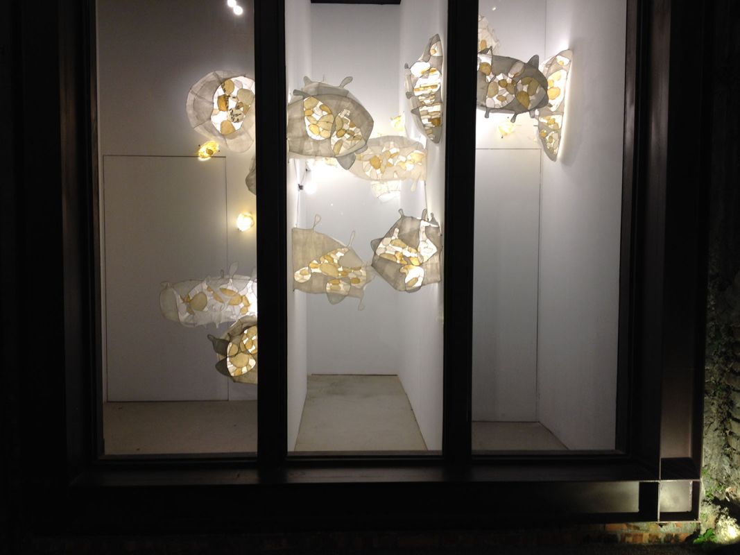 櫥窗裝置】Thu Kim Vu 「C8-20 櫥窗展覽」 圖片 1