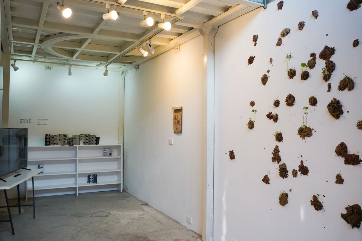 扎根與漂泊的事物 — Sujin Moon駐村成果展 圖片 4