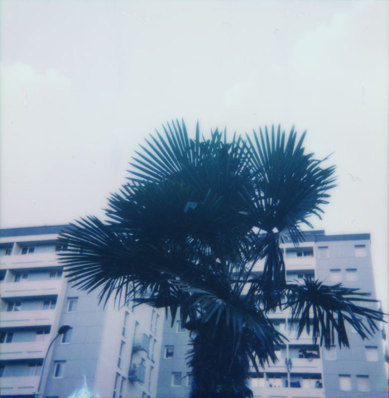 Marie Ouazzani & Nicolas Carrier 圖片 2
