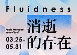 【售票】消逝的存在 Fluidness