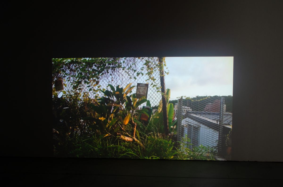傳承—Lillygol Sedaghat & Cory Howell Hamada 駐村成果展 圖片 5